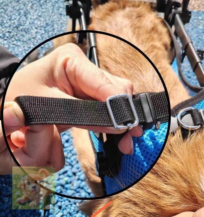 新入荷犬用車椅子 車いす小型中型軽量 ペット用 2輪 歩行器 リハビリ 介護 室内 屋外老 猫犬兼用 ペット車椅子 ハーネス 犬用車椅子 散歩 WWW_ARCHE-JUGEND_DE