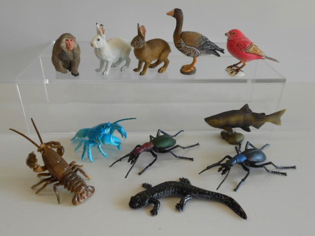 ♯Joi16STカプセルQ日本の動物コレクション1東北/北限のサル11種 カプセルQミュージアム 日本の動物コレクション 1 東北/北限の