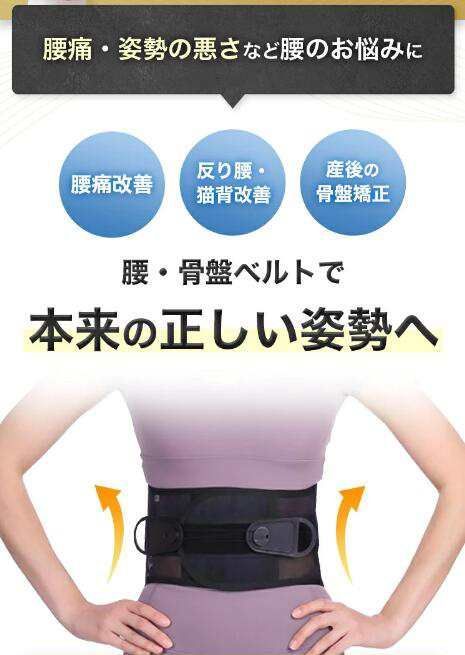 ガードナーベルト 正規品 男女兼用 腰 サポーター コルセット