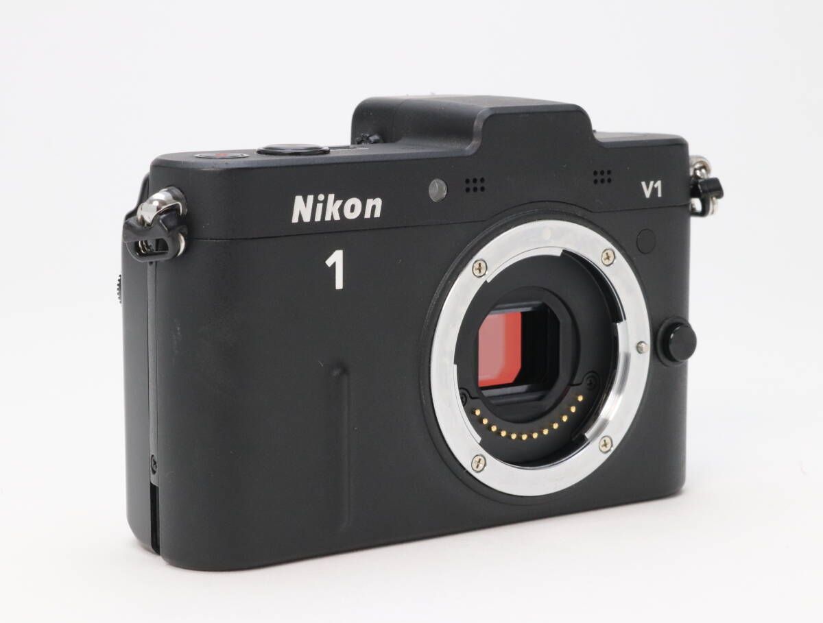 ボディ ブラック