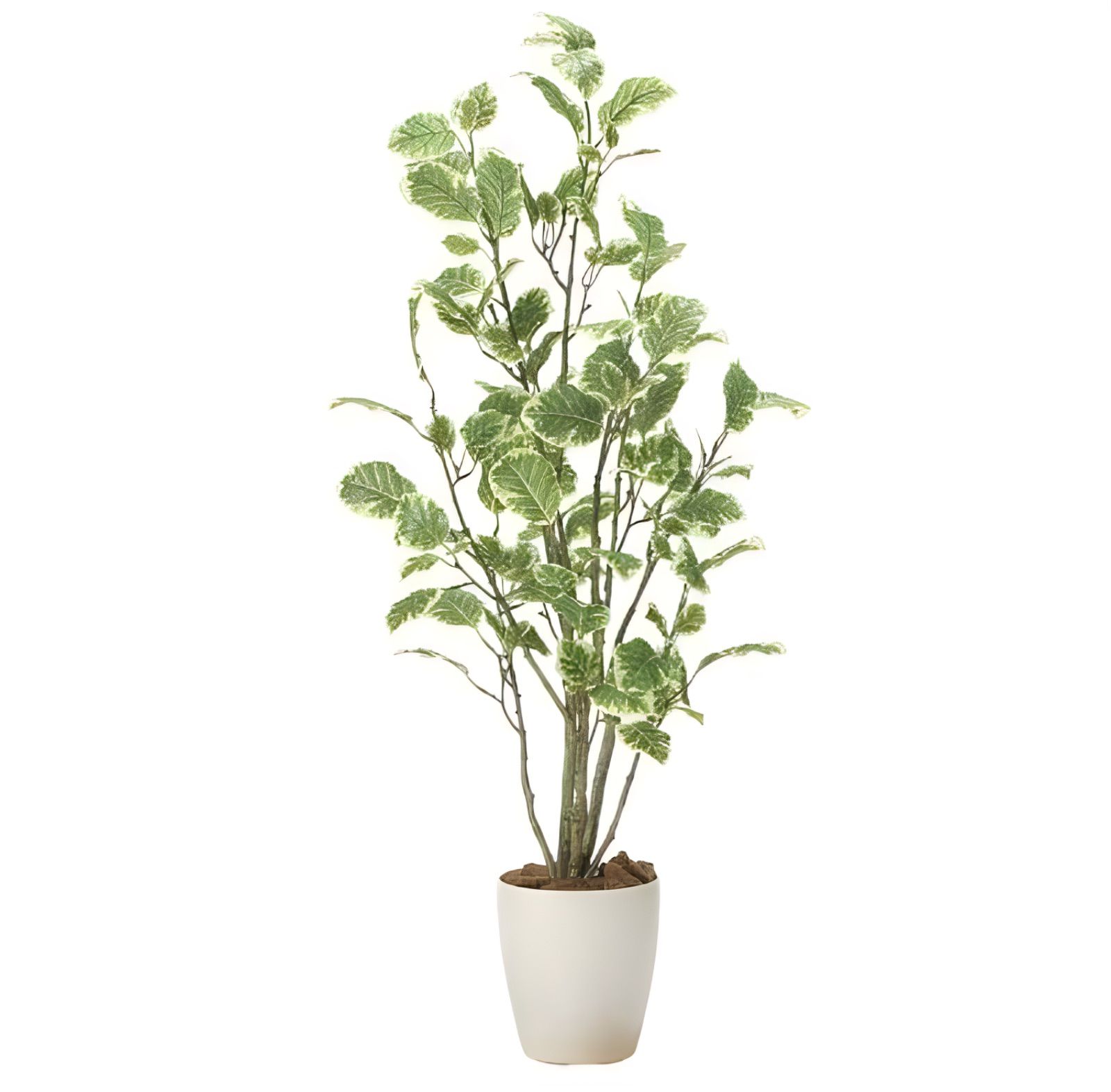 光触媒　人工観葉植物　ウォールグリーン　フェイク　フラワー　ポリシャスツリー@ 光触媒 人工観葉植物 ウォールグリーン フェイクグリーン ポリシャス