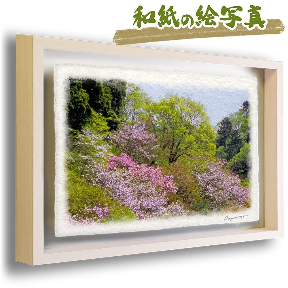 和紙の絵写真 「山桜の中の新緑の木」 立体額縁付き 38x27cm 絵画 インテリア 玄関 風水 風景画 アート パネル ポスター おしゃれ 新築祝い 絵 壁掛け 和モダン 和風 ジャパンディ夏 緑 ピンク 