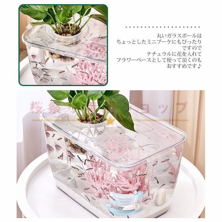 プラスチック製 ボトルアクアリウム