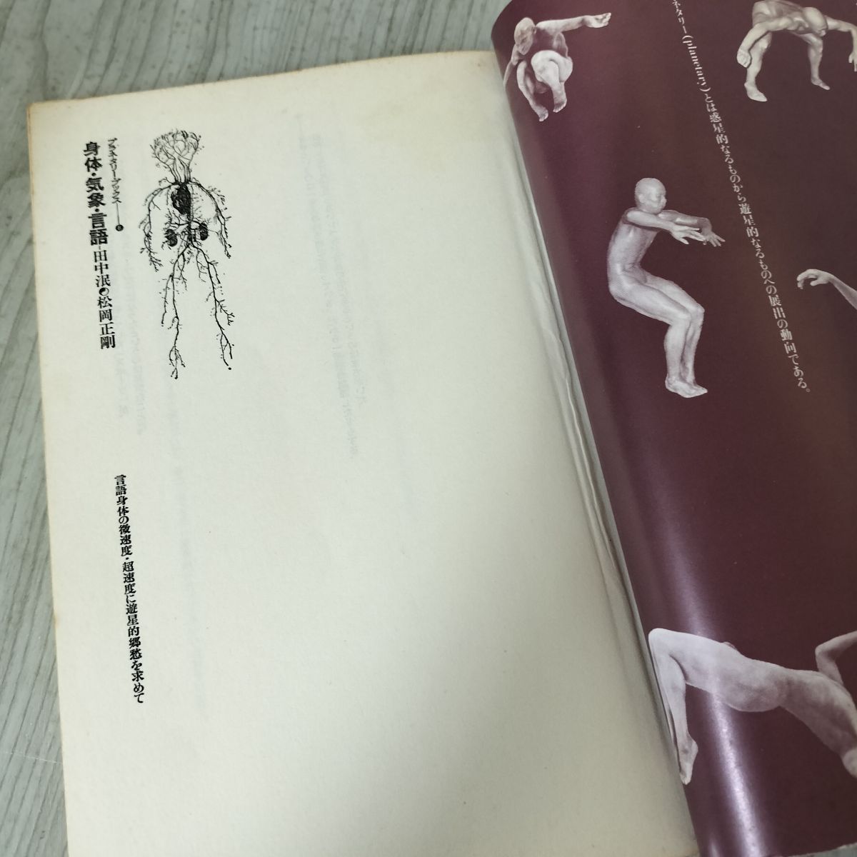 プラネタリーブックス８　身体気象言語 身体・気象・言語 田中泯・松岡正剛 プラネタリー・ブックス8