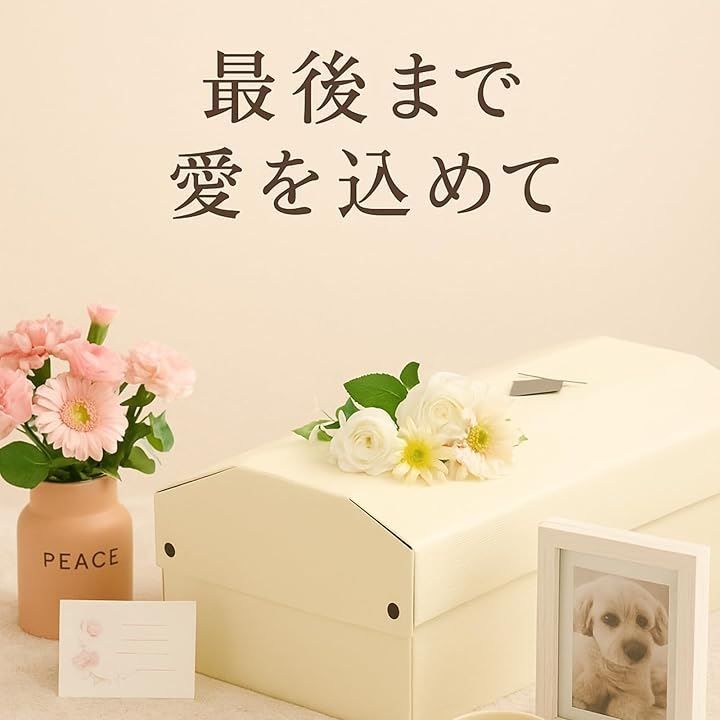 はこぶね 日本製ならではの安心と