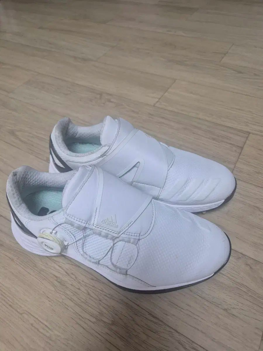 adidas アディダス レディース ゴルフシューズ 235