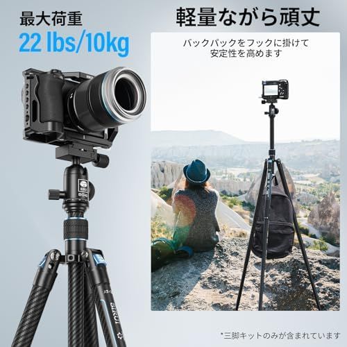 最大高さ153cm