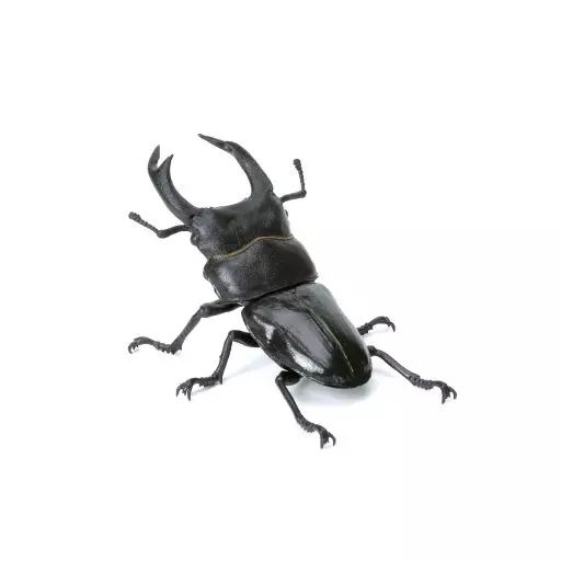 いきもの大図鑑　リアル昆虫フィギュア ギラファノコギリクワガタなどがフル可動ガシャポンフィギュア