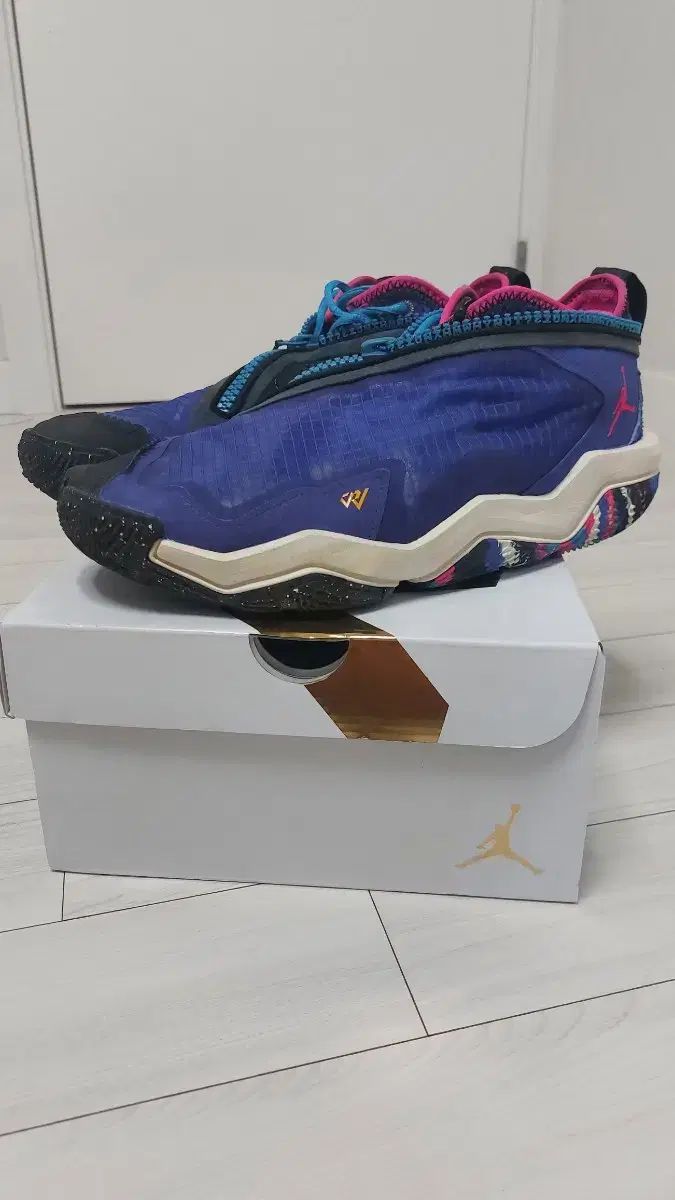 ジョーダン ワイナッツゼロ 6 280