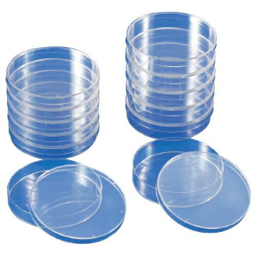 滅菌ペトリ皿（シャーレ）１５ｍｍ11320040