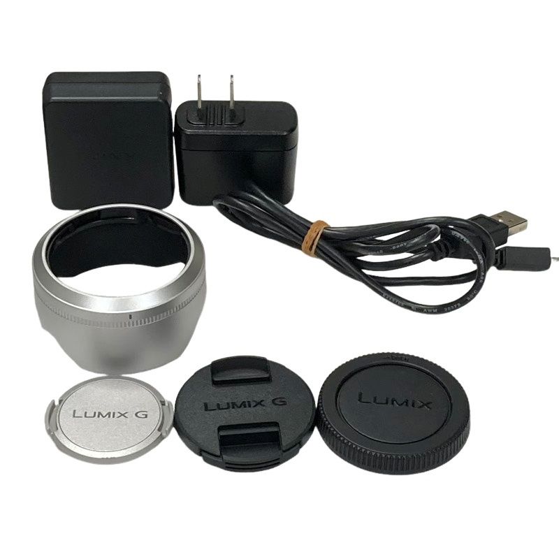  Panasonic LUMIX GF 10 ダブルズームレンズキット 12 32 mm 35 100 オレンジ DC WA D デジタル一眼レフ デジタルカメラ