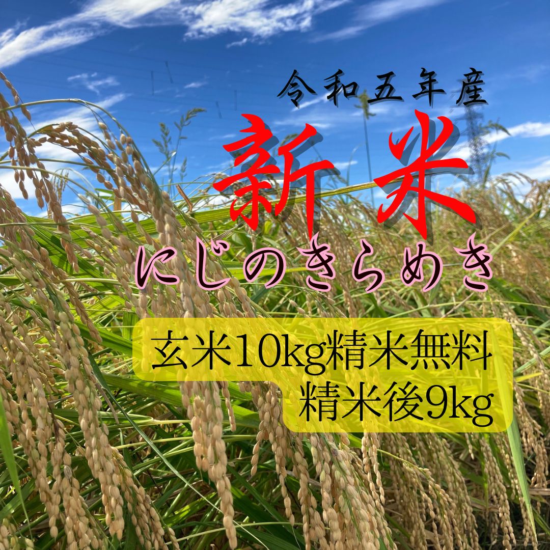 お気に入りの 令和五年 新潟県産減農薬にじのきらめき玄米10kg 米5キロ