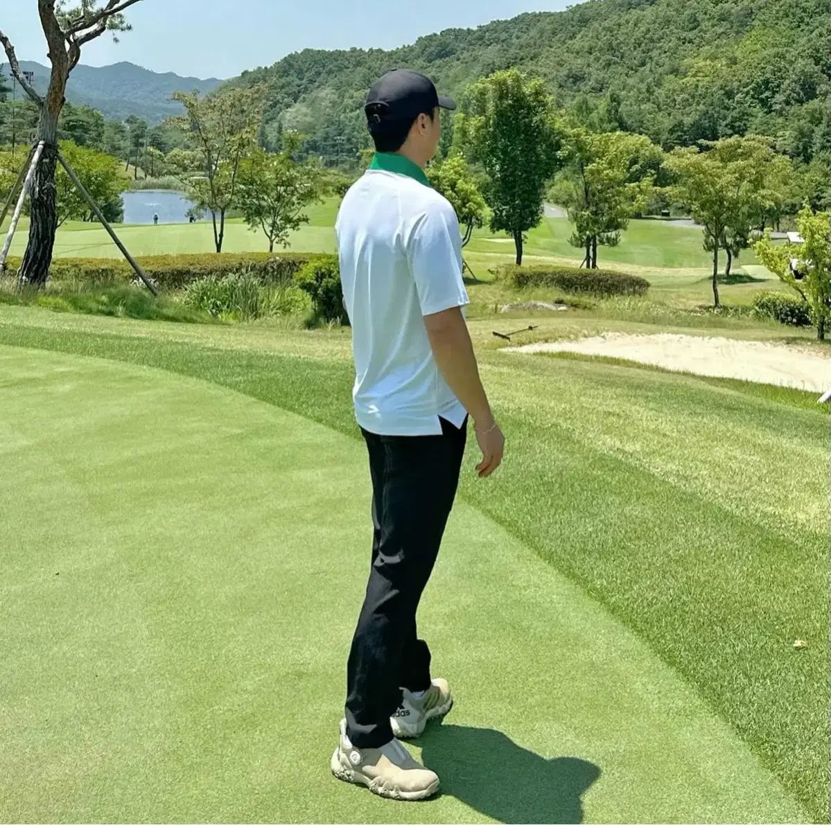 ポロ Tシャツ
