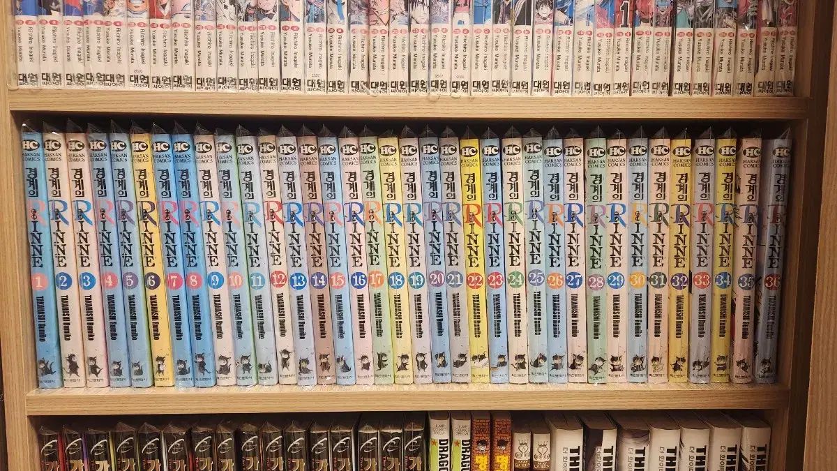 龍脈の精髄 煙水晶 宮崎の大地が授けた静かなる叡智 売上一部保護猫