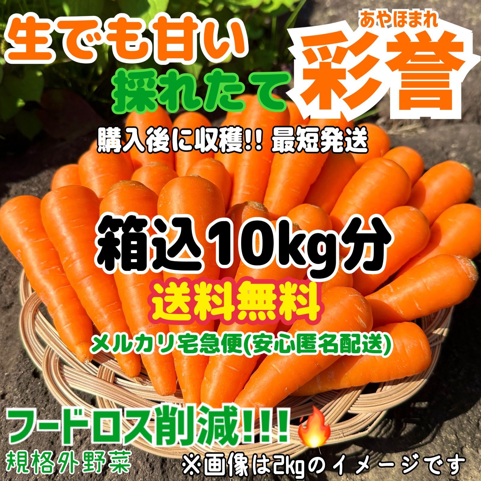 送料無料!! 【生でも甘い採れたて産地直送！】にんじん約10Kg(箱込)　稀少価値の高い彩誉(皮ごと食べても問題ありません)