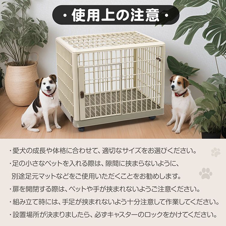 天面 側面