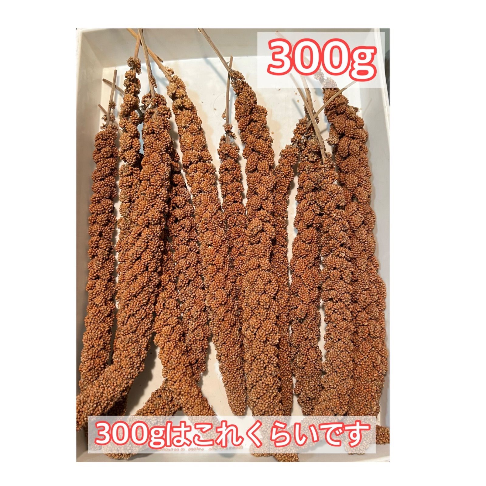赤粟穂（フランス産）300g（鳥の餌用です） - メルカリ