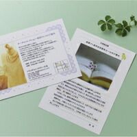 まとめ買い ヒサゴ カラーレーザ はがき カード 4面 なめらか 特厚口 200シート入 KLP12 ×3セット