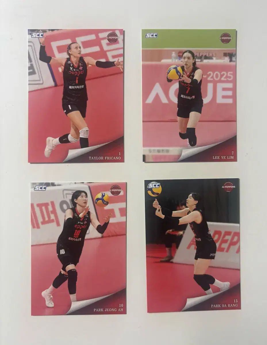 SCC カーボン 2024 ー 2025 KOVO -ペッパー貯蓄銀行 (バッチ)