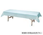 【新品・2営業日で発送】アズワン フリーサイズ診察台カバー 青 1100×2300mmNC8-7026-018-7026-02