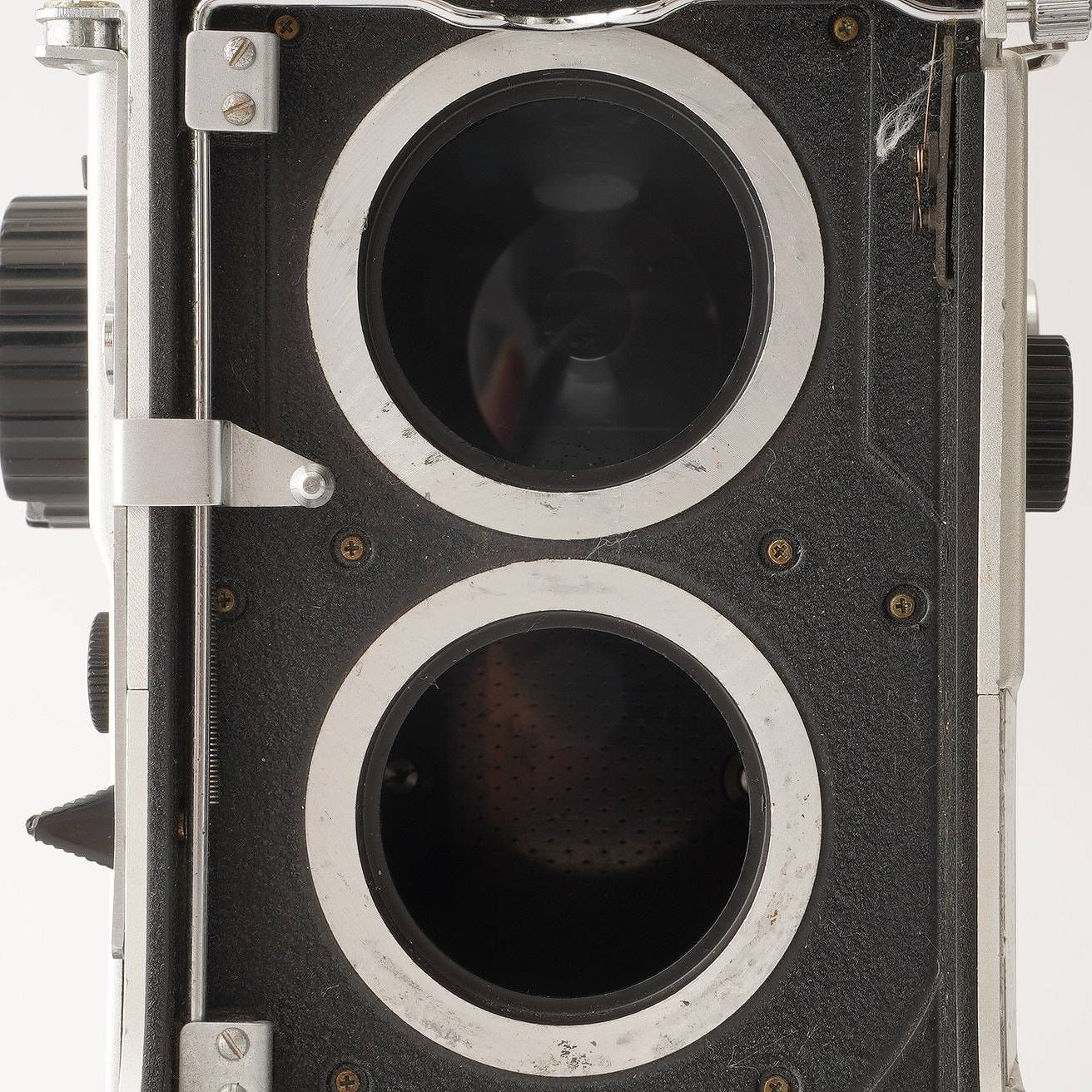 5 ブルードット