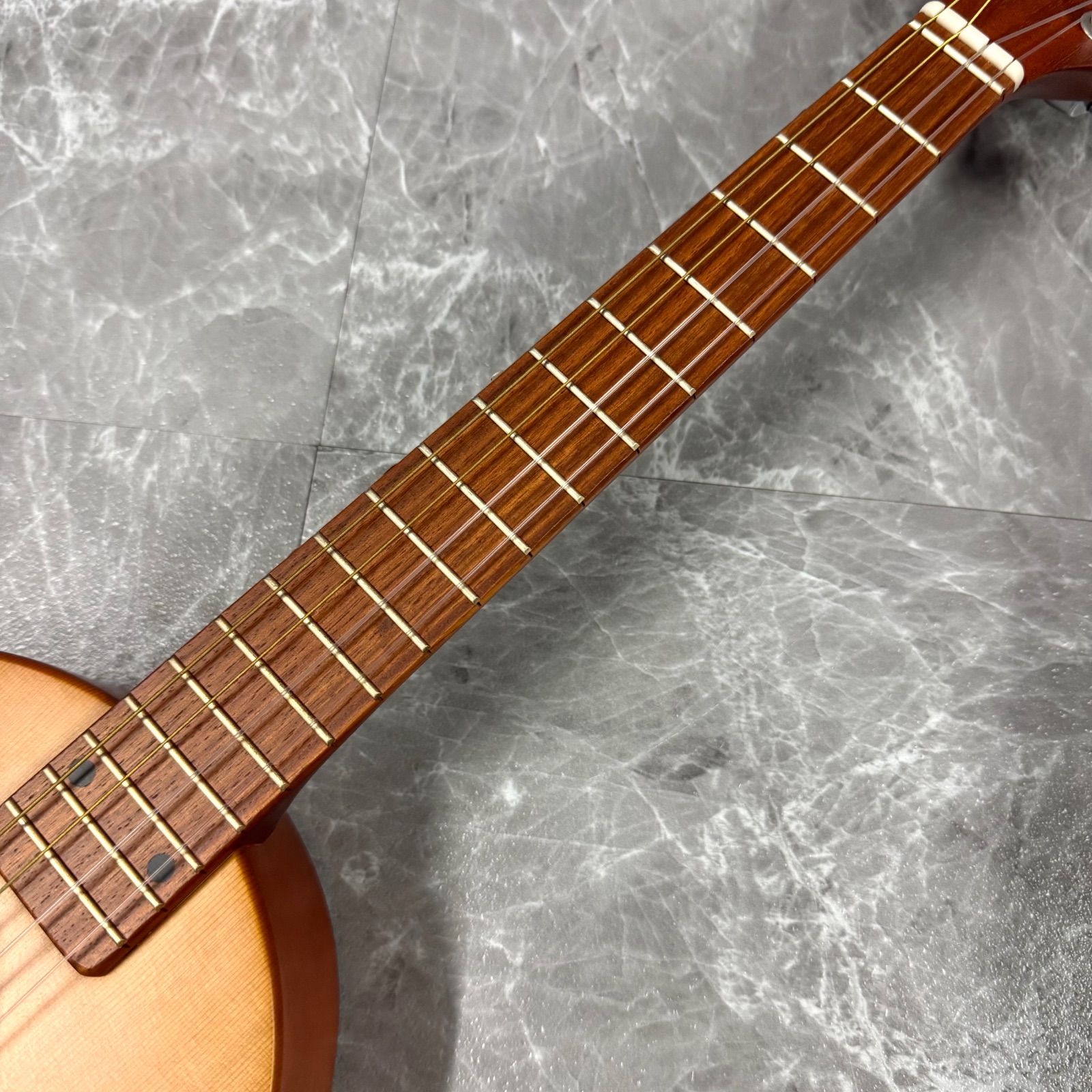 アコースティック楽器