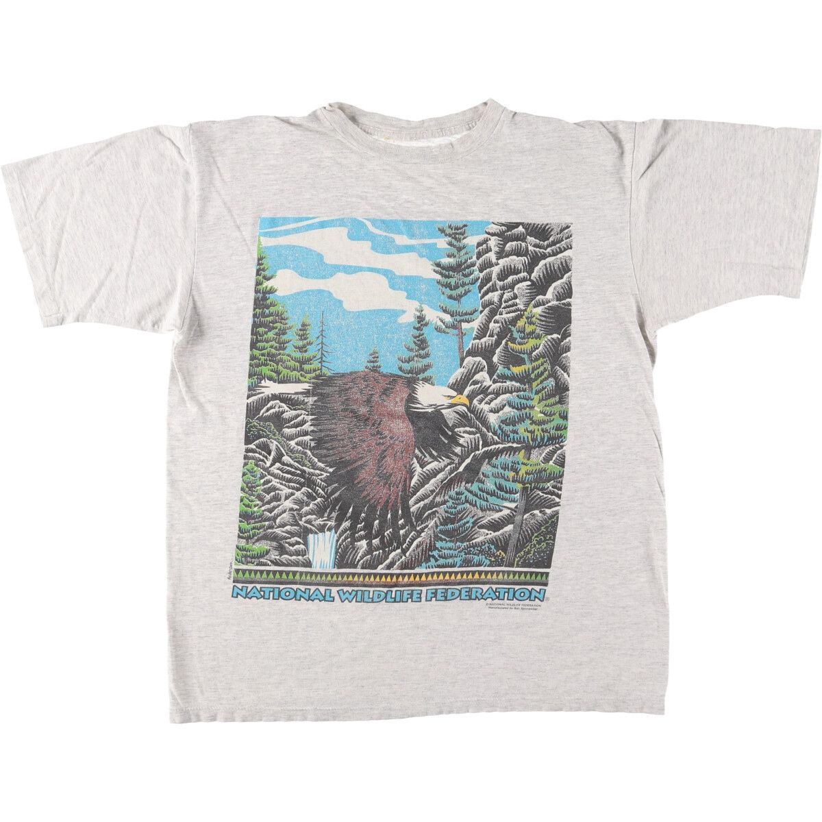 古着 90年代 鷹柄 イーグル柄 アニマルTシャツ メンズXL ヴィンテージ/eaa445966