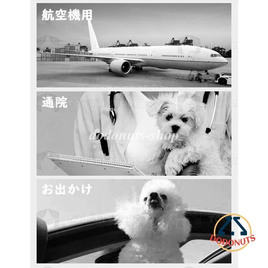 旅行 外出
