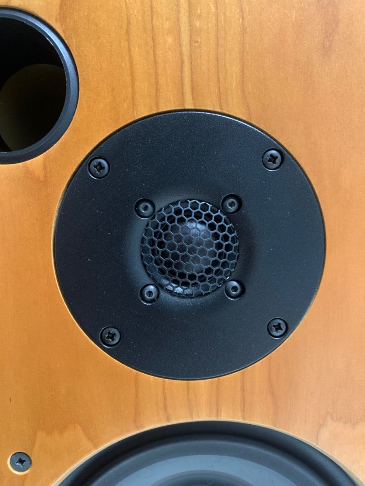 monitor30.1