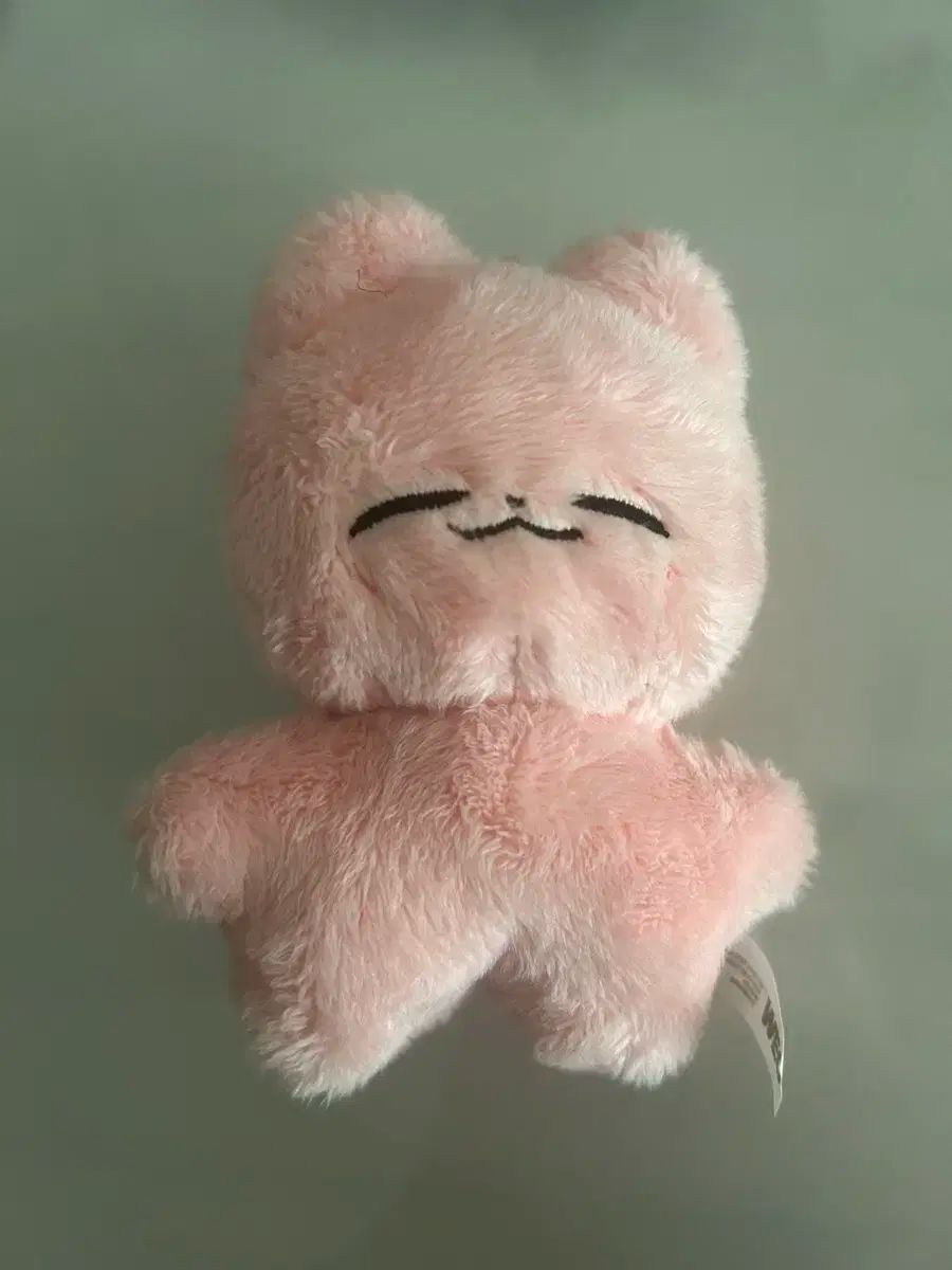 nct ぬいぐるみ ジェヒョン 20cm  英雄 61bG2zLIUtL._UF350,350_QL50_.jpg