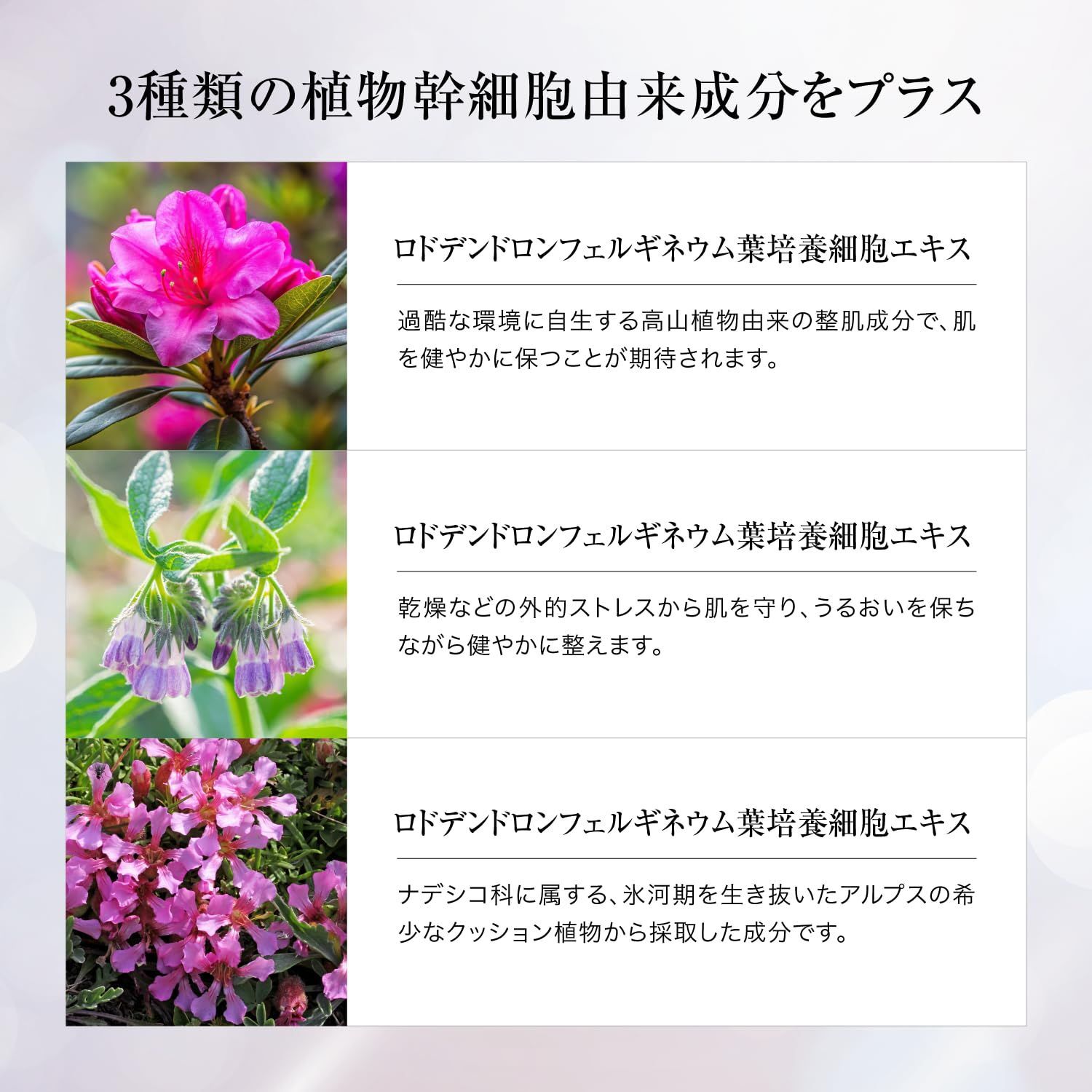 REVI ルヴィ セルフゴマージュS 120g 角質ケア ゴマージュ