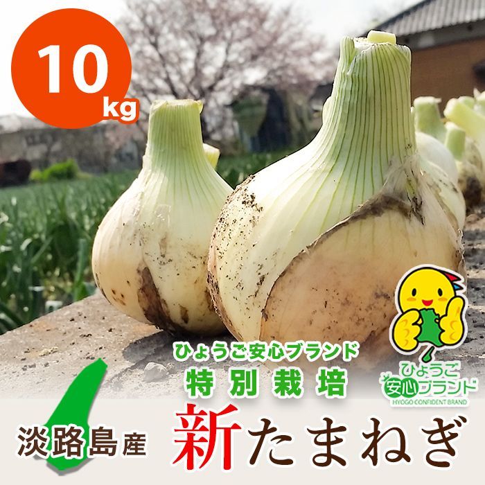 【平成７年４月下旬から早生品種】【あさひ】10kg 淡路島新たまねぎ 特別栽培 わせ品種 ★収穫次第ご購入順に発送★1週間程度で食してください★フォロワー様ショップクーポンもご利用くださいませ
