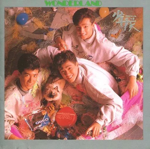 邦楽CD 少年隊 | WONDERLAND