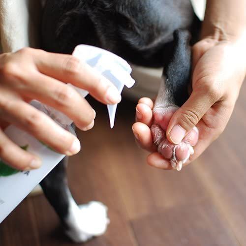 消臭 犬用品