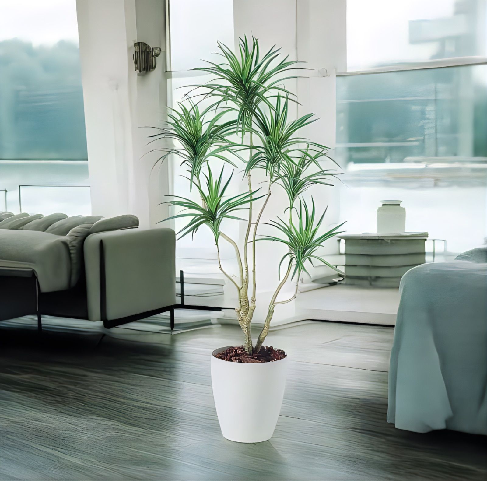 光触媒　人工観葉植物　ウォールグリーン　フェイクグリーン　コンシナトリコロル14 光触媒 人工観葉植物 ウォールグリーン フェイクグリーン コン