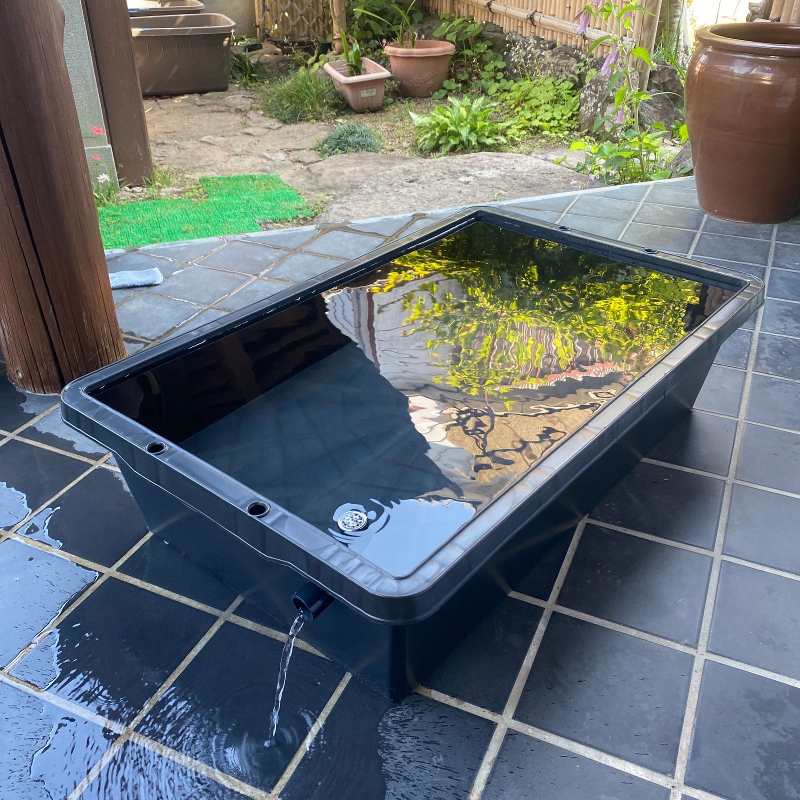 新タイプ】メダカ飼育ケース 80㍑黒x1個 オーバーフロー対策付き トロ