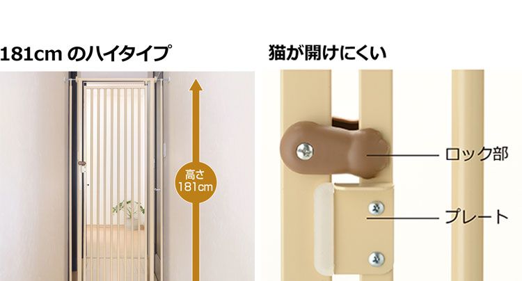 つっぱり