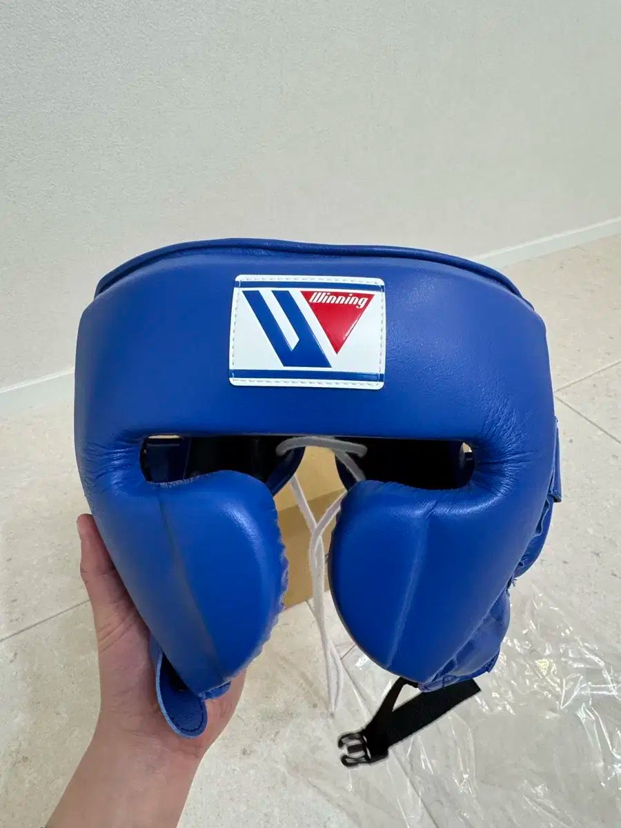 トライアルランディング 1 刺身) ウィニング ( Winning ) T ヘッドギア ブルー