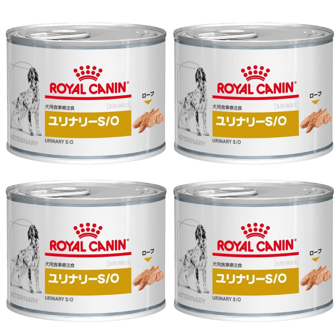 伊藤百花 AKB48 武道館20周年LIVE チャンスくじD賞 サイン入りチェキ