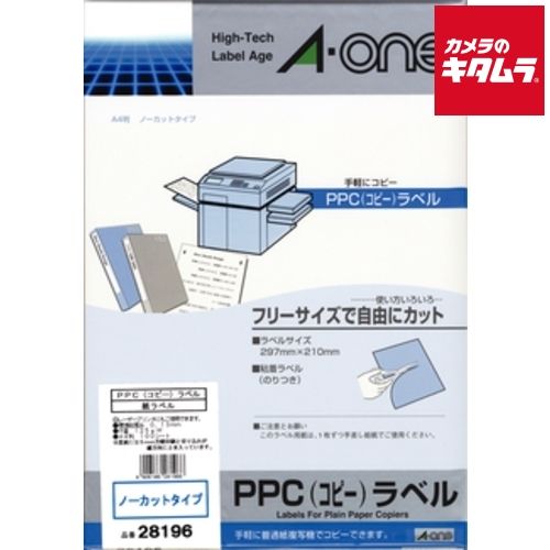 スーパーサイヤ人ゴッドスーパーサイヤ人孫悟空 界王拳 【公式通販】