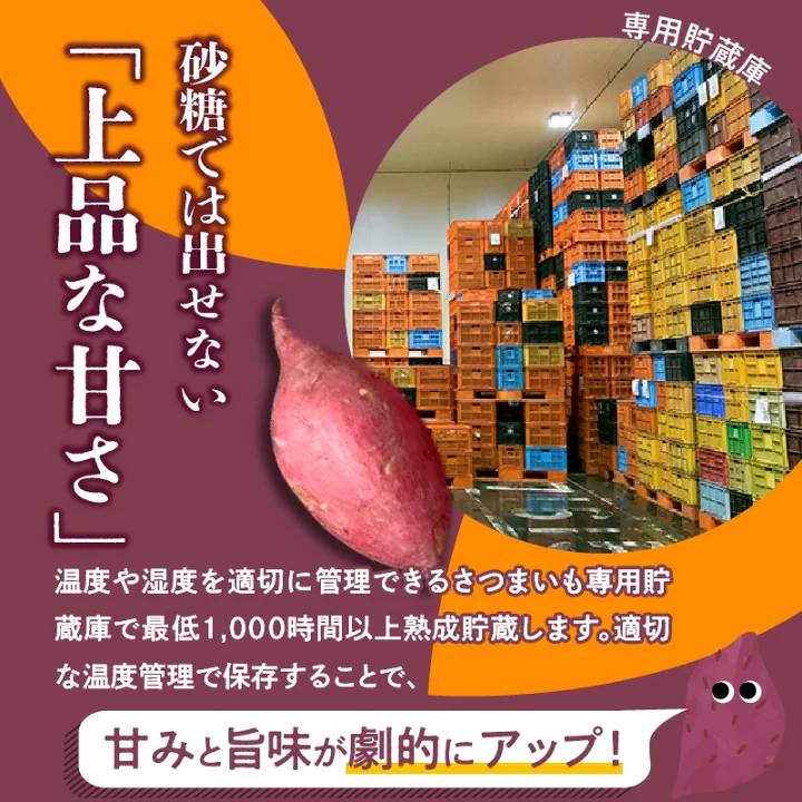 【減農薬】熟成紅はるか さつまいも 土付き 5kg 特大