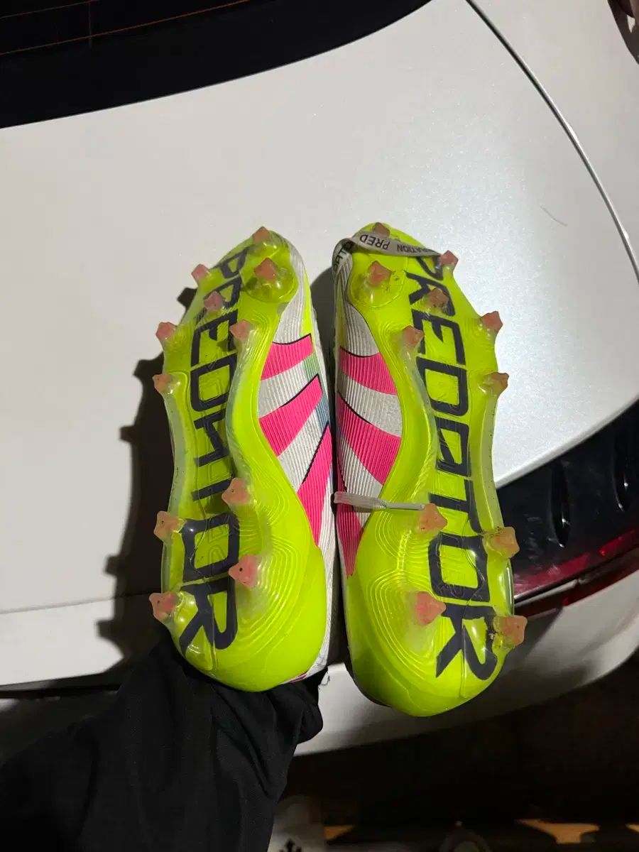 プレデター エリート ft fg 295 LLC-HASEGAWATOSO_COM