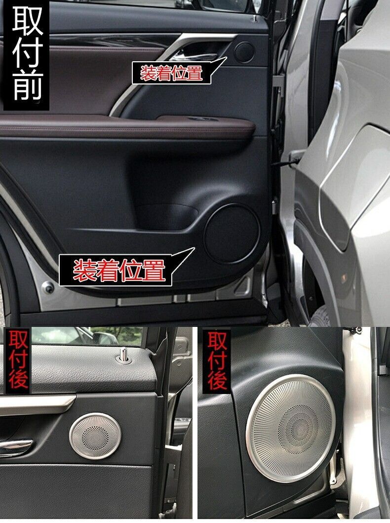 RX200t RX300