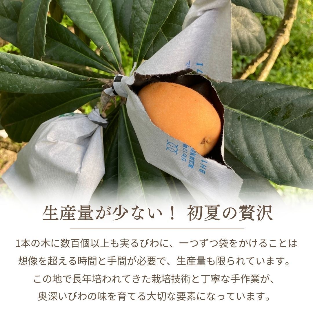 サイズ色々