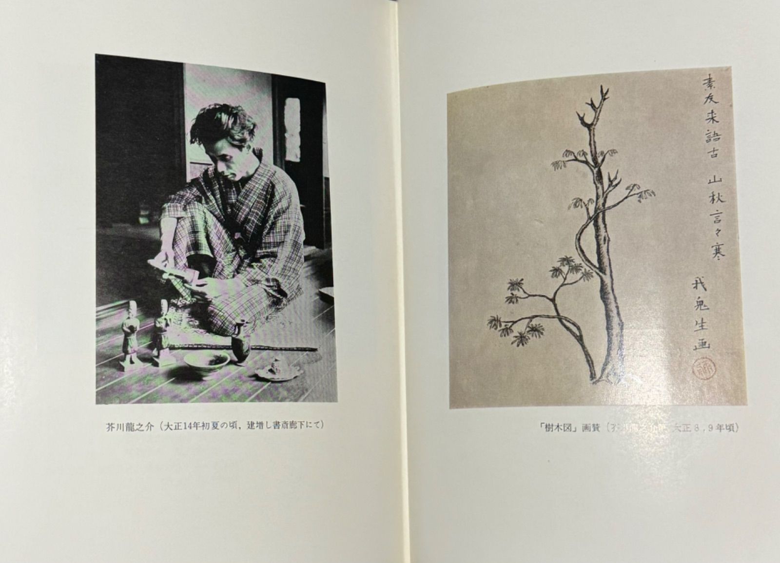 Amazon.co.jp: 朗読日本文学大系 近代文学編 CD50枚組 : 森 鴎外