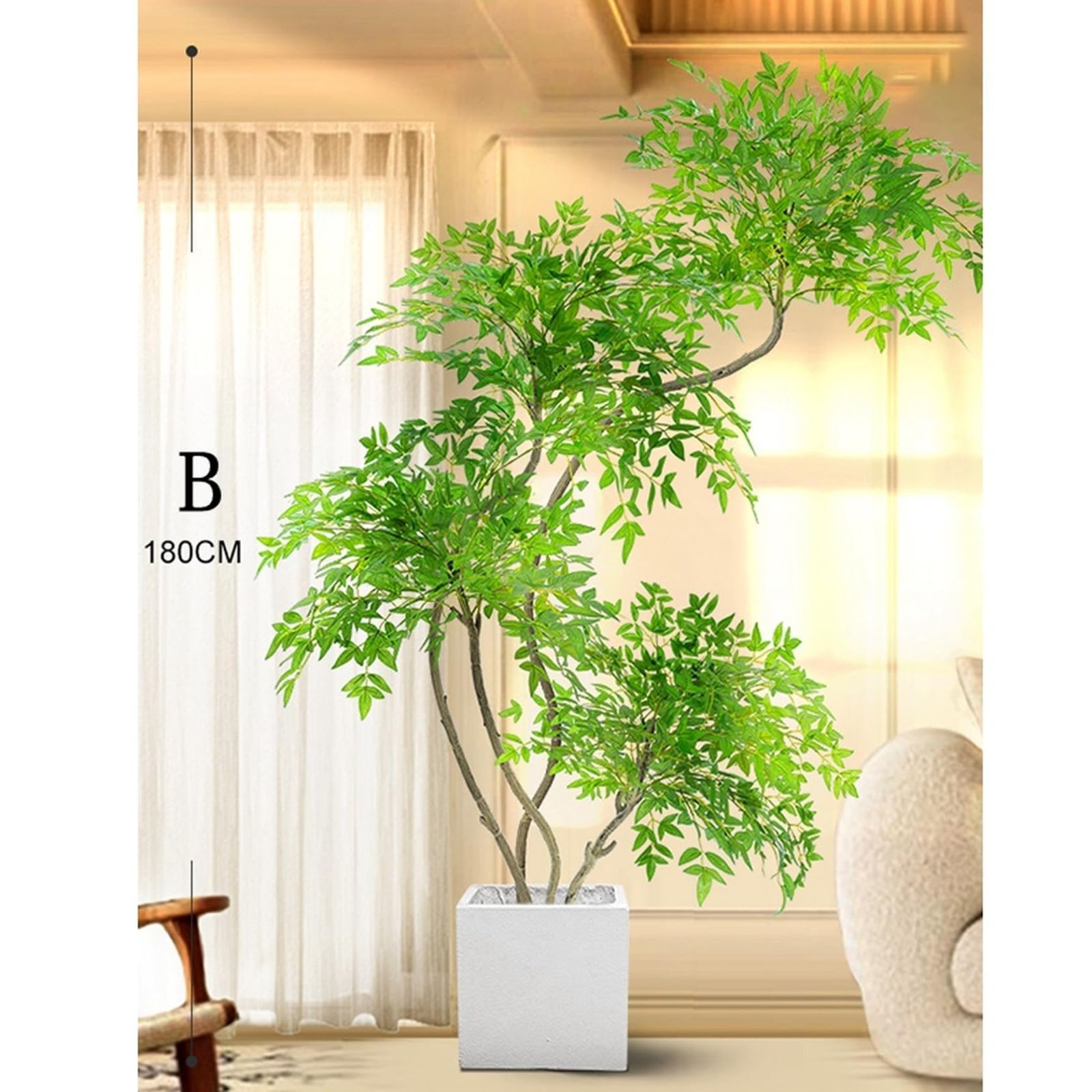トロピカル植物