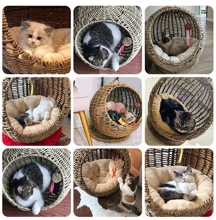 猫 ハンギングチェア