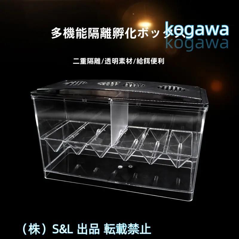 ベタ 飼育 初心者 生体株式会社S＆L 飼育セット 魚 ベタフィッシュ 熱帯魚 水槽 おしゃれ 孵化 グッピー ベタ ダンボ 隔離 分離 アクリル