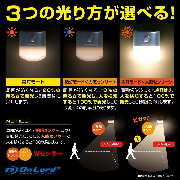 お得な2個セット】ソーラー充電式 LEDセンサーポーチライト（SK1119 