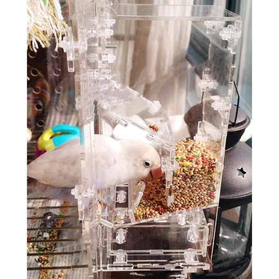 インコ